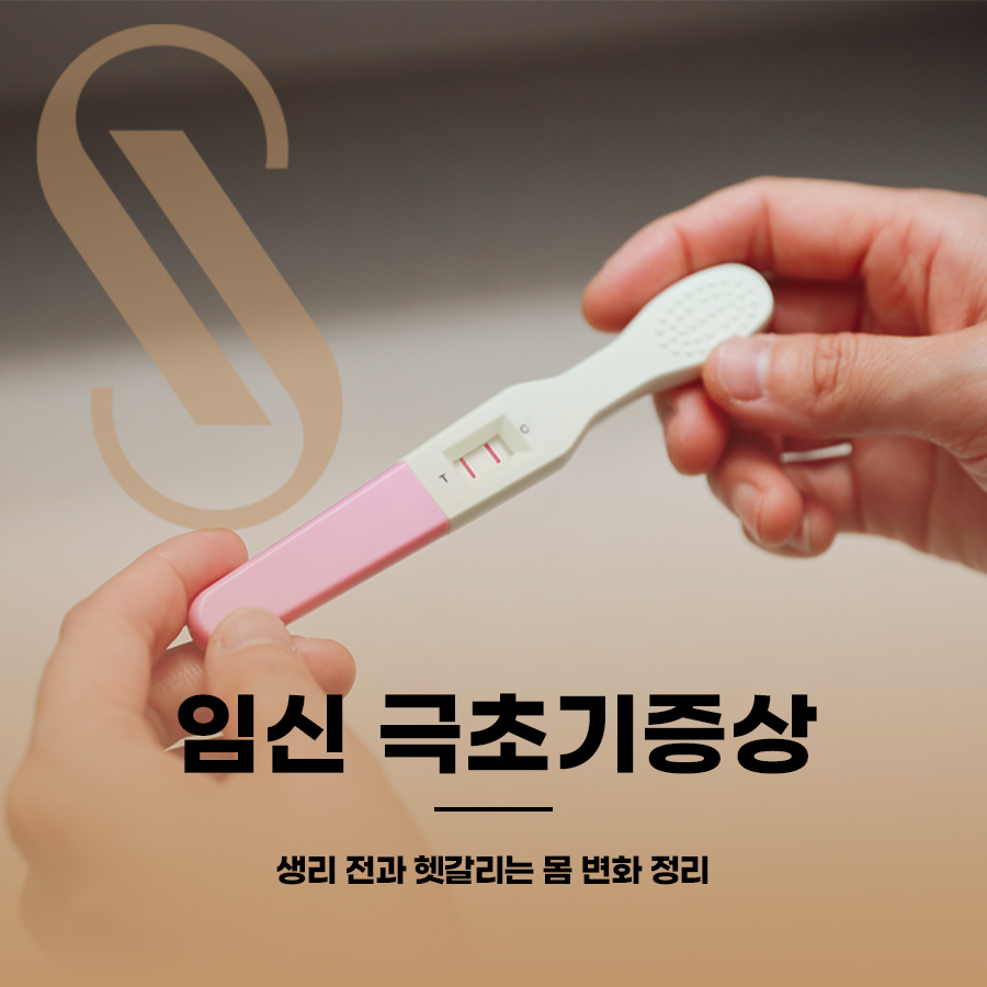 Very Early Pregnancy Symptoms: Organizing Body Changes That Can Be Confused with Before Your Period image 1