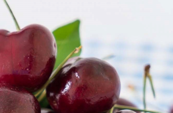 What Does Gout Mean? Toe Pain Symptoms and Foods Good for Gout image 10