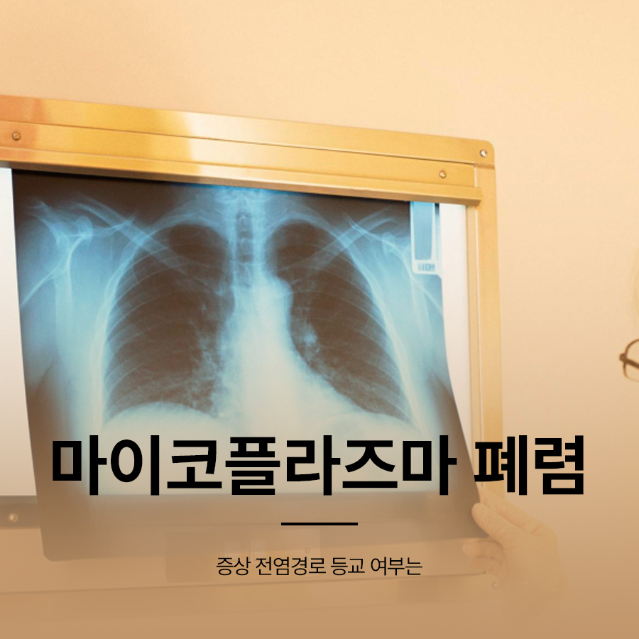 마이코플라즈마 폐렴 증상 전염경로 등교 여부는 관련 이미지 1
