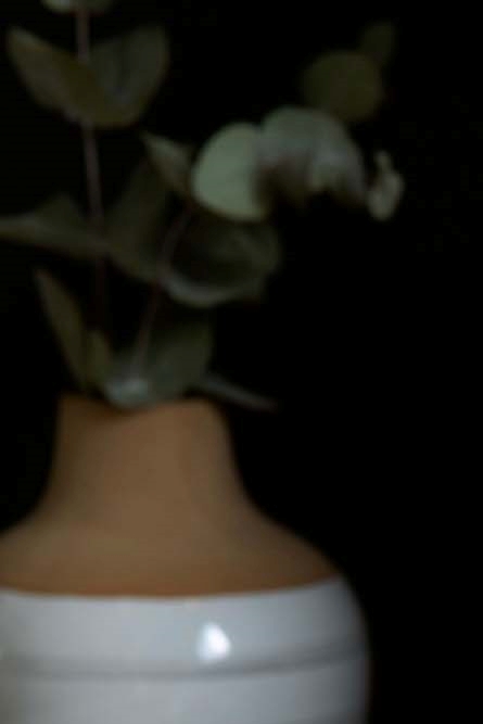 대장내시경 전날 음식 카스테라 바나나 커피 먹어도 될까요 관련 이미지 7