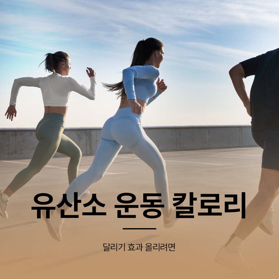 유산소 운동 칼로리 달리기 효과 올리려면 관련 이미지 1