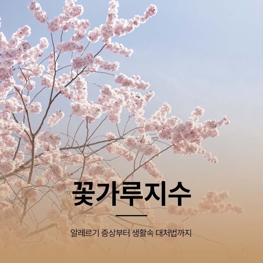 꽃가루지수 알레르기 증상부터 생활속 대처법까지 관련 이미지 1