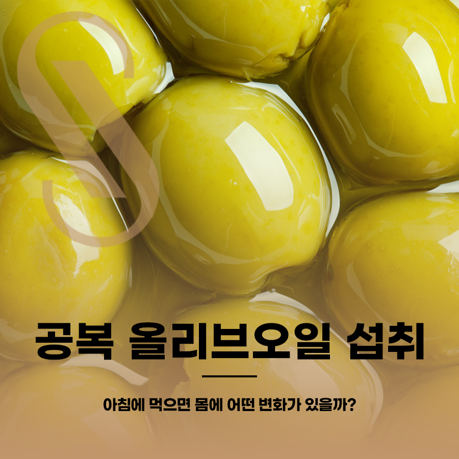 공복 올리브오일 섭취, 아침에 먹으면 몸에 어떤 변화가 있을까? 관련 이미지 1
