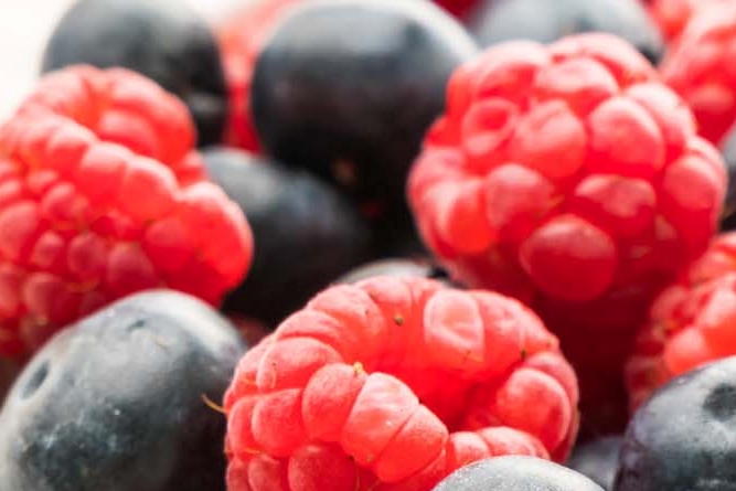 About the Benefits of Wild Raspberries, Peak Season, and Washing Methods image 8