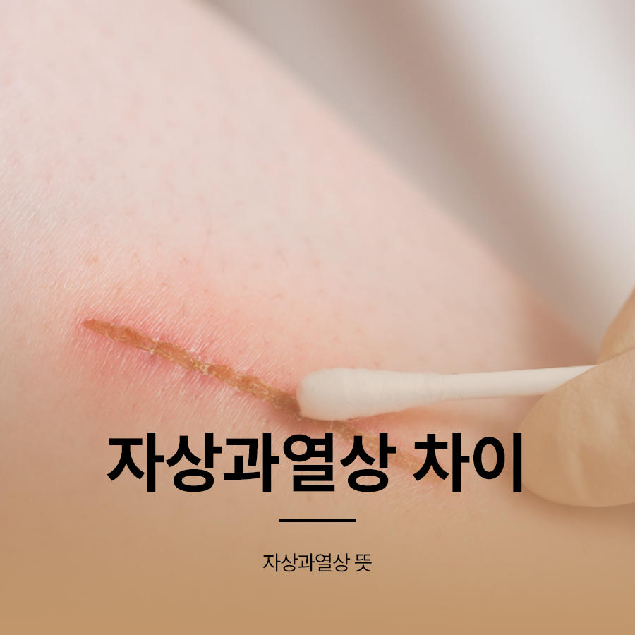 자상과열상 차이 뜻 풀이 관련 이미지 1