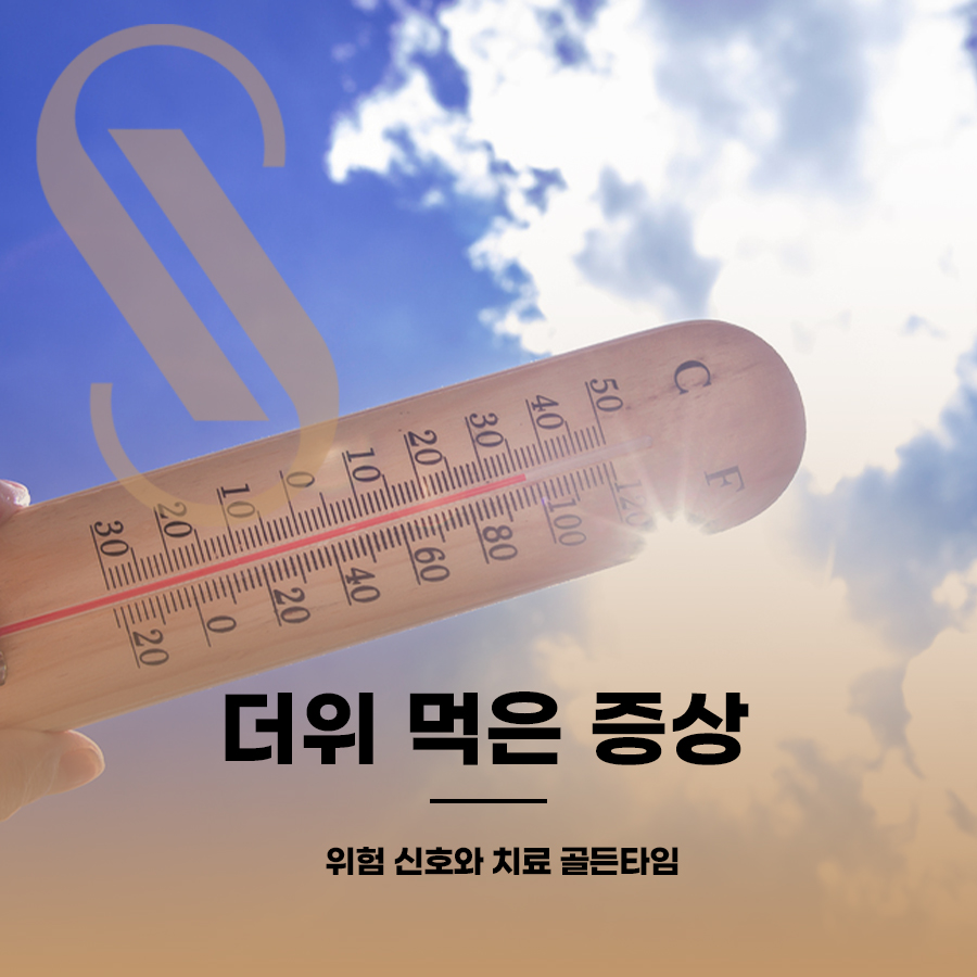 더위 먹은 증상, 위험 신호와 치료 골든타임 관련 이미지 1