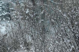 서진성형외과 성형수술 철저한 시스템으로 관련 이미지 31
