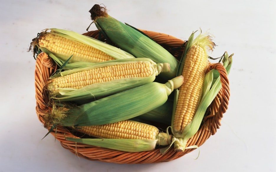 How to Boil Corn: The Secret to Making It Delicious Without New Sugar image 3