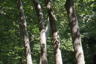 Cold-Air Syndrome Symptoms: Easy to Mistake for a Body Ache! How Can You Tell Them Apart? image 9