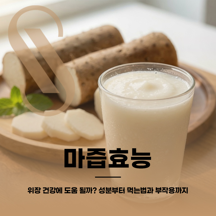 마즙효능, 위장 건강에 도움 될까? 성분부터 먹는법과 부작용까지 관련 이미지 1