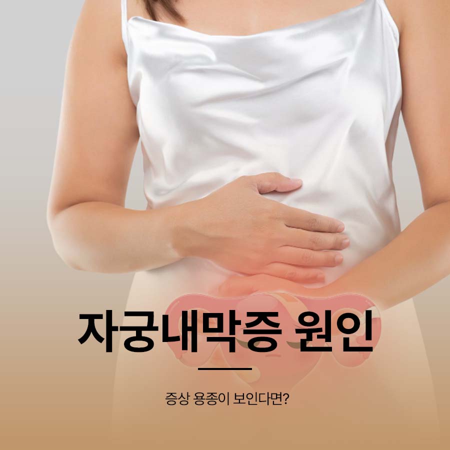자궁내막증 원인 증상 용종이 보인다면? 관련 이미지 1