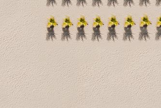 Types of Hair Transplant: Incision vs. Non-Incision—What Are the Selection Criteria and Costs That Suit Me? image 13