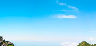 Hair Transplant for Forehead Reduction: Can a Hair Transplant Create a Forehead Reduction Effect? image 6