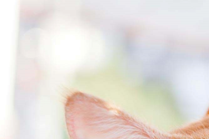 여성형유방증원인 치료방법으로 남자다운 자신감을 관련 이미지 26