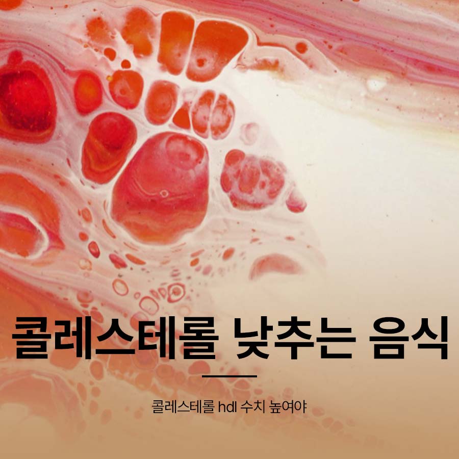 콜레스테롤 낮추는 음식 hdl 수치 높아야 관련 이미지 1