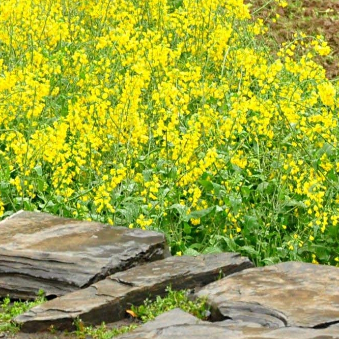 남자 가슴처짐 여유증 원인 분석이 중요해요 관련 이미지 27