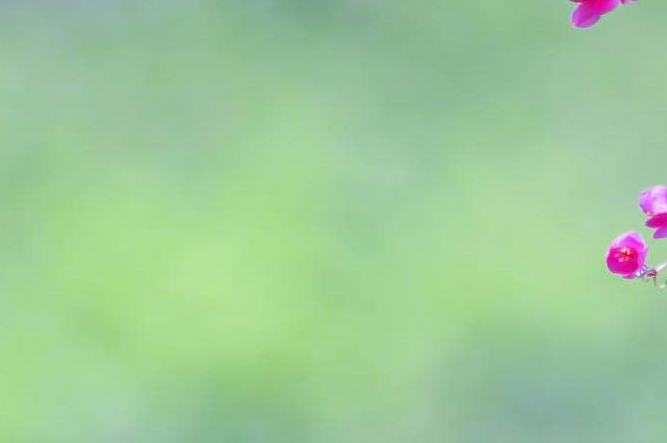 신사압구정 가슴성형 자연스러운 가슴 디자인으로 관련 이미지 36