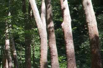 Cold-Air Syndrome Symptoms: Easy to Mistake for a Body Ache! How Can You Tell Them Apart? image 12