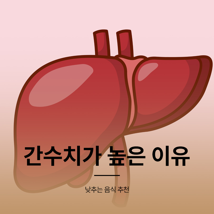 간수치가 높은이유 낮추는 음식 추천 관련 이미지 1