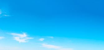 Hair Transplant for Forehead Reduction: Can a Hair Transplant Create a Forehead Reduction Effect? image 8