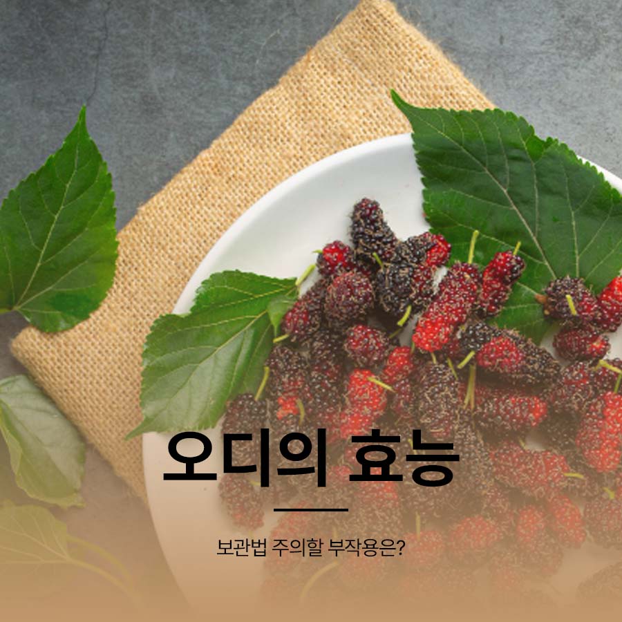 What Are the Benefits of Mulberries, How Should They Be Stored, and What Side Effects Should You Watch Out For? image 1