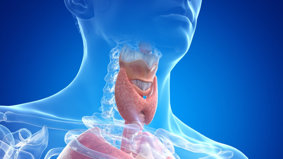 Thyroid Cancer Symptoms: Start by Checking for Changes in Your Neck image 7