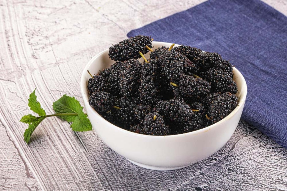 What Are the Benefits of Mulberries, How Should They Be Stored, and What Side Effects Should You Watch Out For? image 4