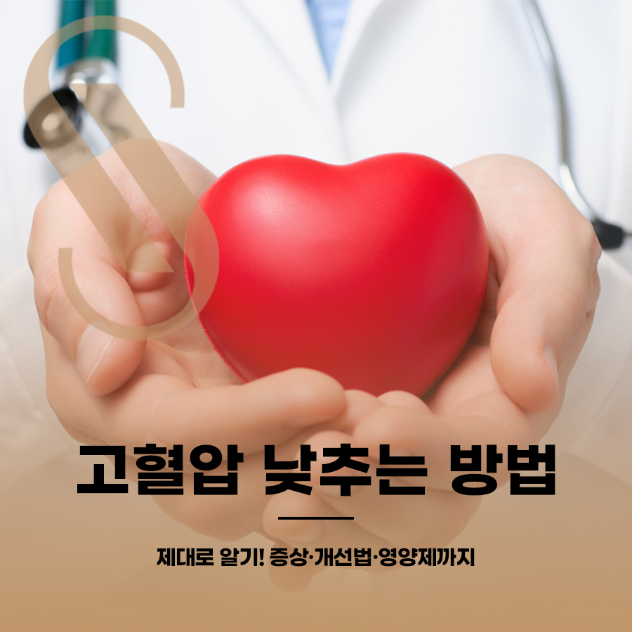 고혈압 낮추는 방법 제대로 알기! 증상&middot;개선법&middot;영양제까지 관련 이미지 1