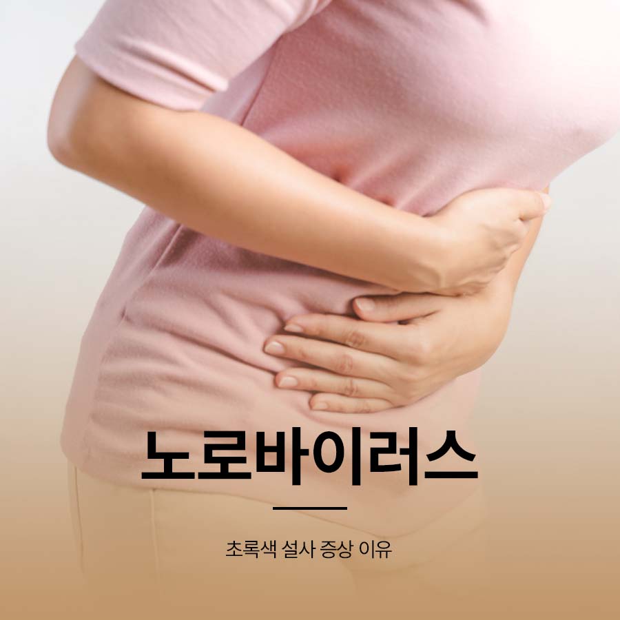 노로바이러스 초록색 설사 증상 이유 관련 이미지 1
