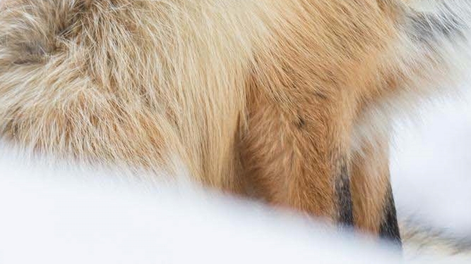 남자여유증치료방법 재발방지를 위한 방법 관련 이미지 19