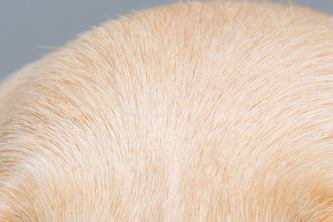Types of Breast Implants: Motiva vs. Mentor vs. Sebbin, a Quick Side-by-Side Comparison! image 6