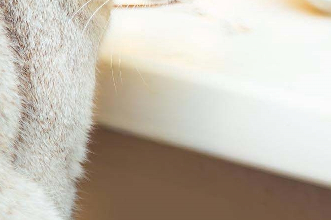 남자여유증원인 문제점 분석해보자 관련 이미지 19