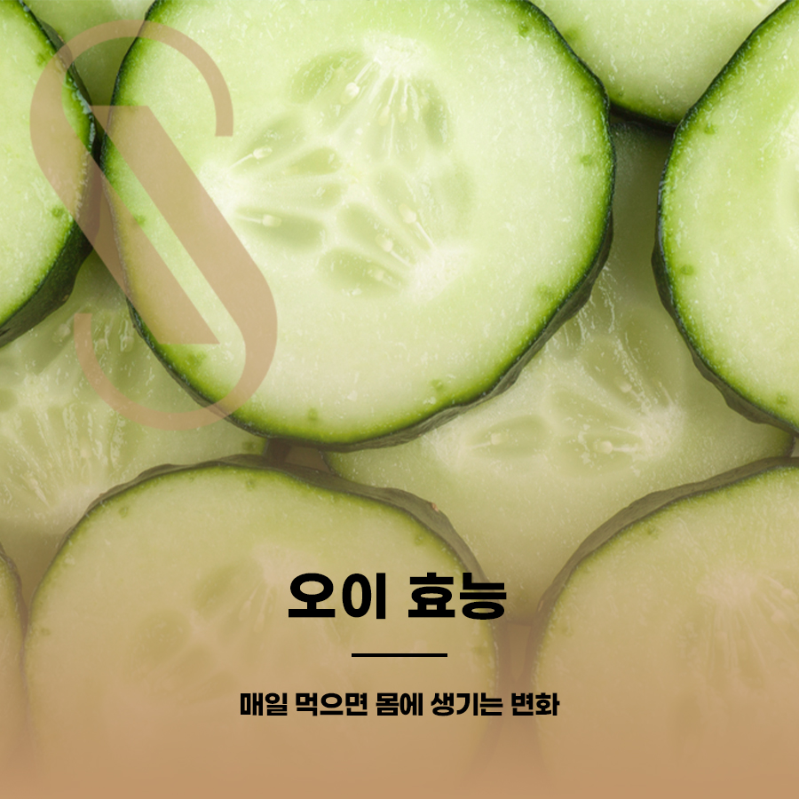 Benefits of Cucumbers: What Happens to Your Body If You Eat Them Every Day image 1