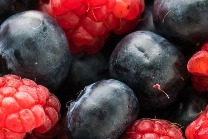 About the Benefits of Wild Raspberries, Peak Season, and Washing Methods image 12