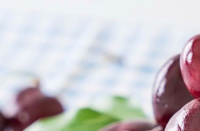 What Does Gout Mean? Toe Pain Symptoms and Foods Good for Gout image 9