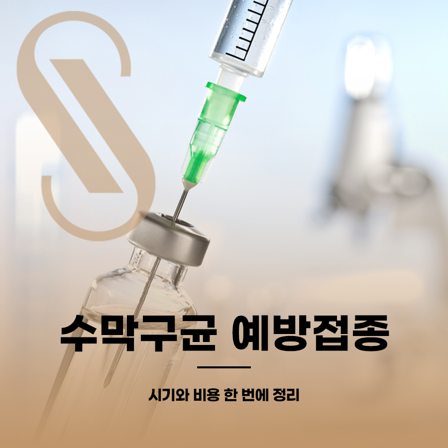 수막구균 예방접종, 시기와 비용 한 번에 정리 관련 이미지 1