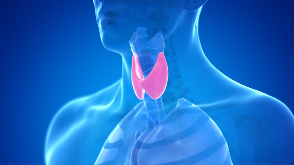 Thyroid Cancer Symptoms: Start by Checking for Changes in Your Neck image 3