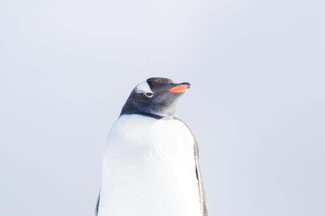 생리 늦어질때 임신이 아니라면? 생리가 늦어지는 이유 관련 이미지 10