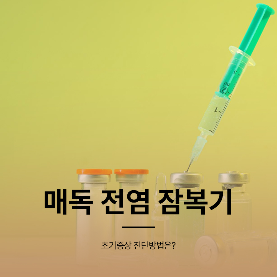 매독 전염 잠복기 초기증상 진단방법은? 관련 이미지 1