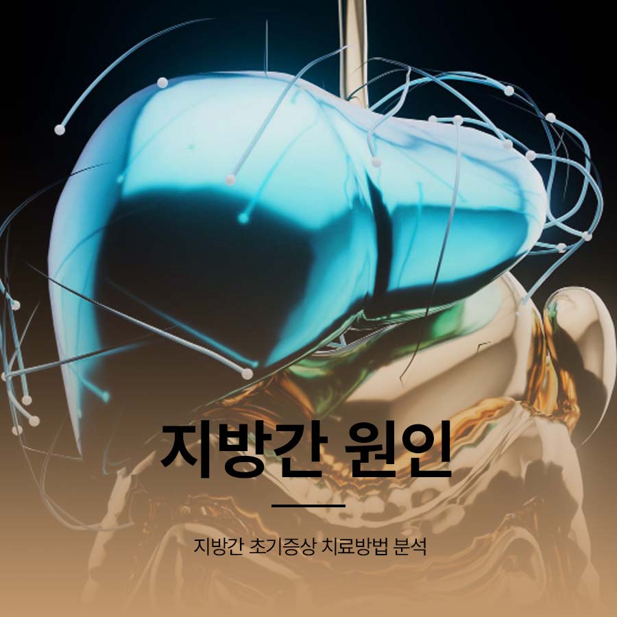 지방간 원인 초기증상 치료방법 분석 관련 이미지 1