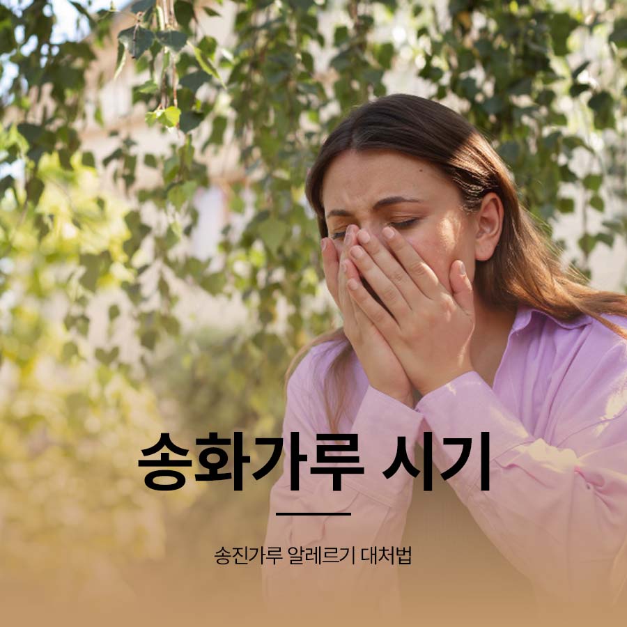 송화가루 시기 송진가루 알레르기 대처법 관련 이미지 1