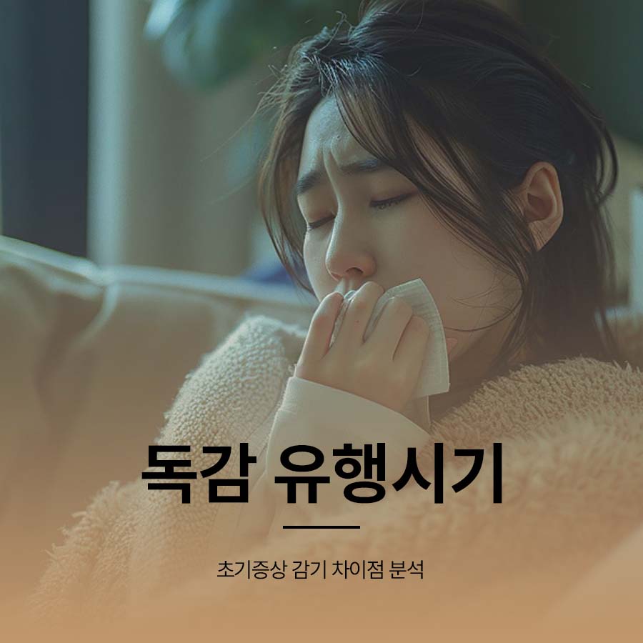 독감 유행시기 초기증상 감기 차이점 분석 관련 이미지 1