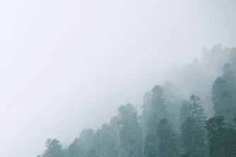 20~30대 모발이식, 자연스러운 디자인이 중요한 이유 관련 이미지 9