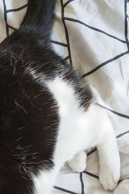 신사동 성형외과 의료진이 중요한 이유 관련 이미지 24