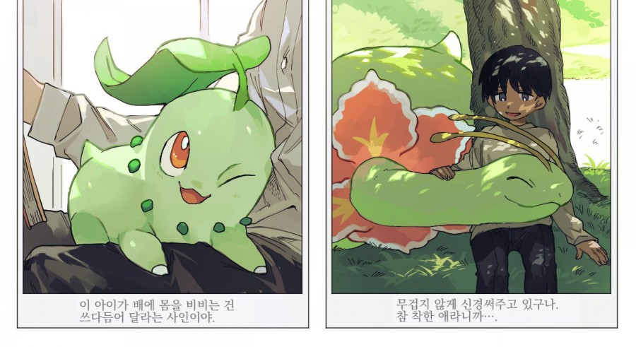 훈훈한 포켓몬스터 만화 모음 관련 이미지 6