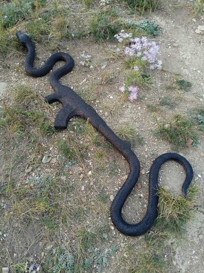 이해하면 무서운 사진 모음 관련 이미지 4