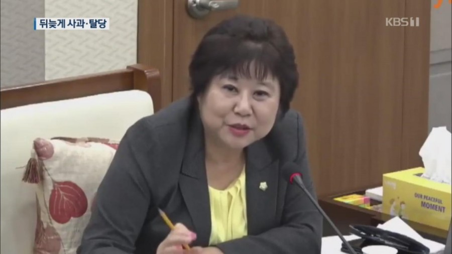 평택시의원 매매 여성들을 위한 특화거리 만들자 관련 이미지 4