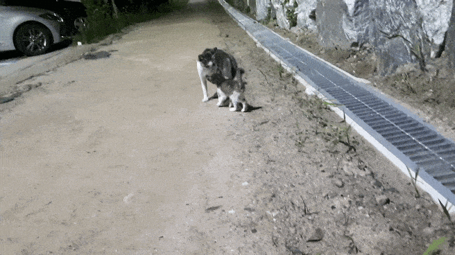 이해하면 무서운 짤 모음 관련 이미지 1