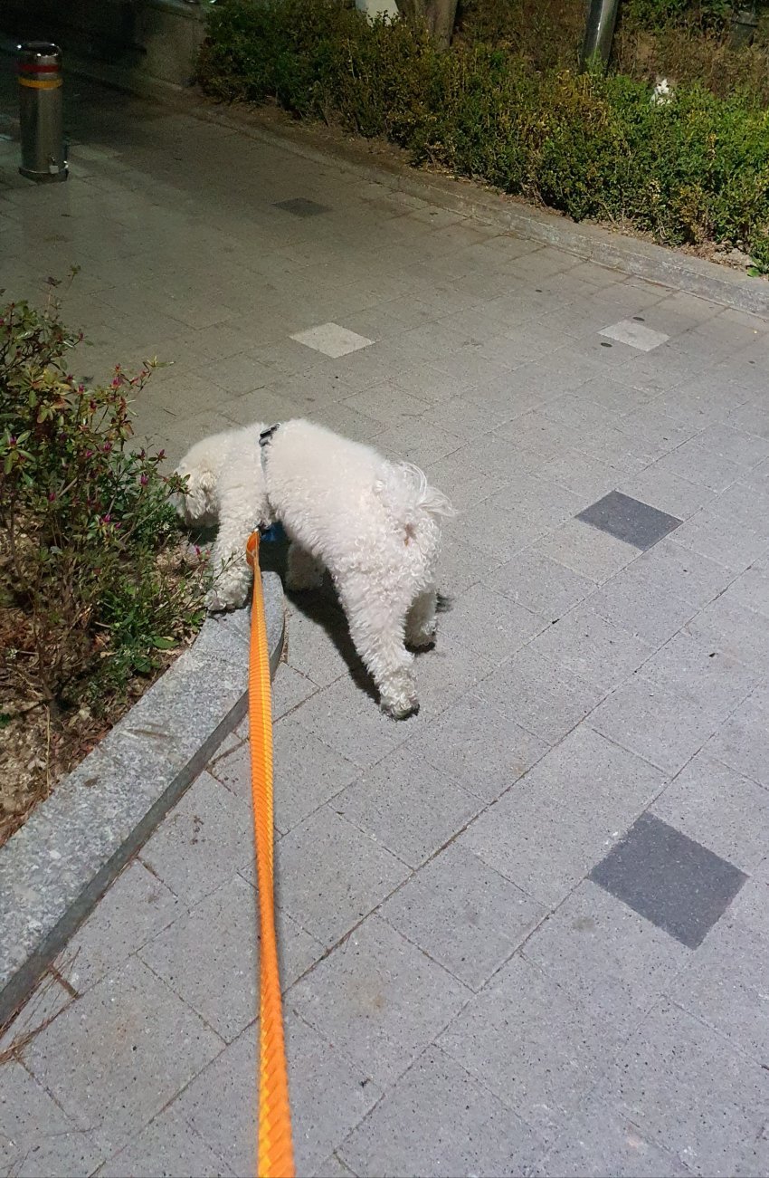 이해하면 무서운 사진 모음 관련 이미지 8