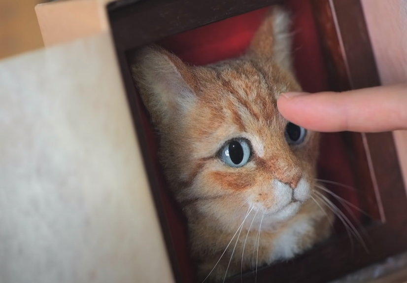 이해하면 무서운 사진 모음 관련 이미지 7